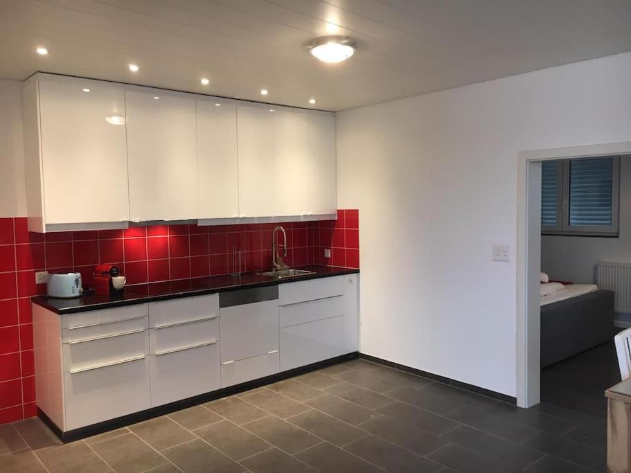 Inn Joy Apartments - Rorschach Mit Panoramasicht Buitenkant foto