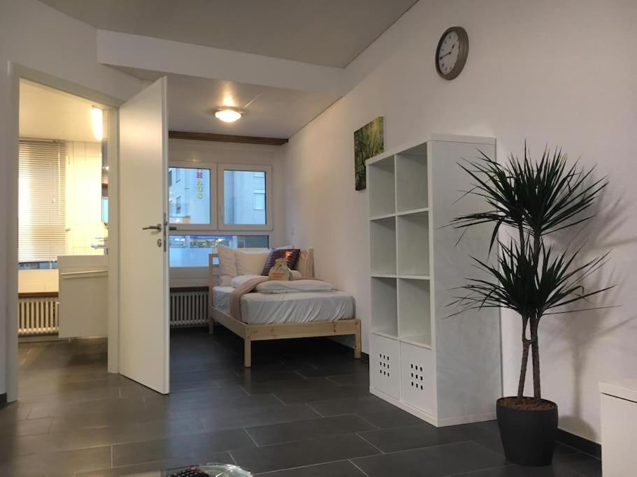 Inn Joy Apartments - Rorschach Mit Panoramasicht Buitenkant foto